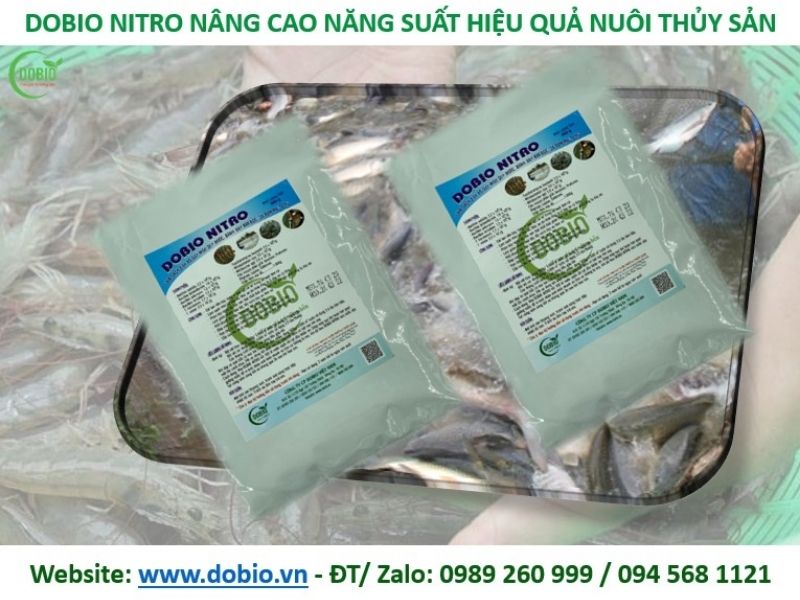 Chế phẩm gây màu nước Dobio Nitro 