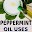 Peppermint Oil Uses Download on Windows