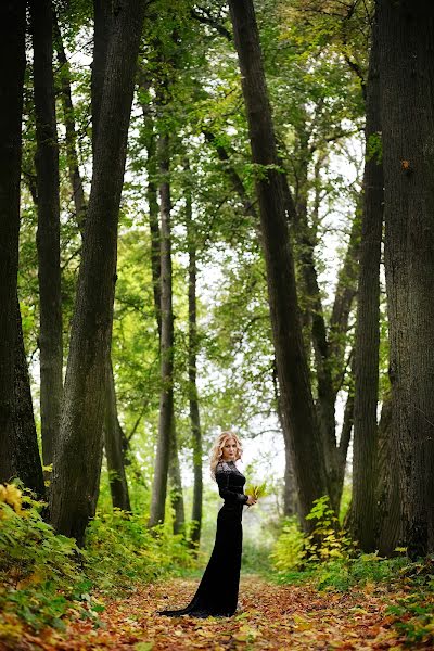 Bryllupsfotograf Elena Stefankova (estefankova). Bilde av 22 oktober 2015