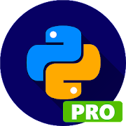 Learn about Python Pro programming