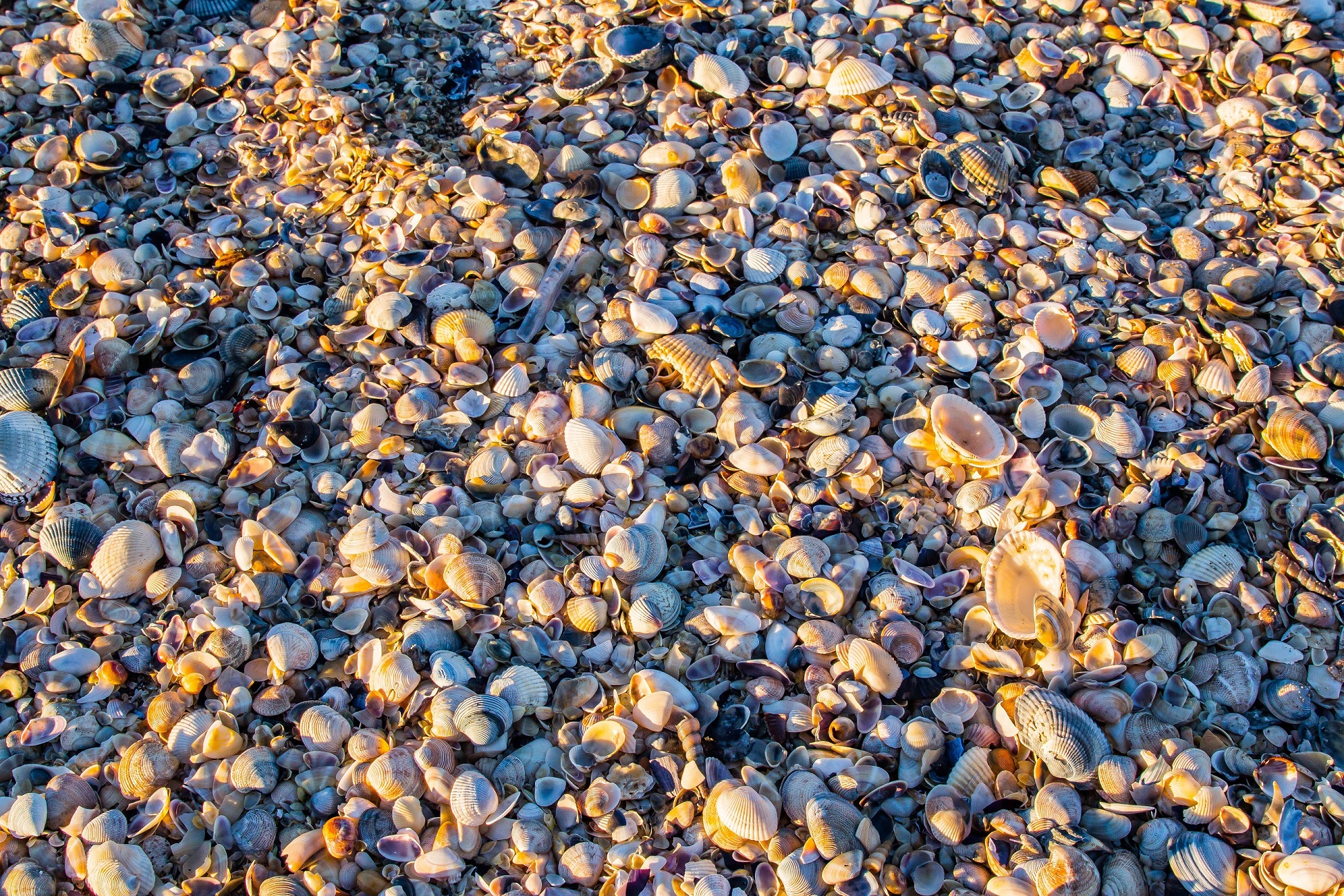 frutti di mare di marbor