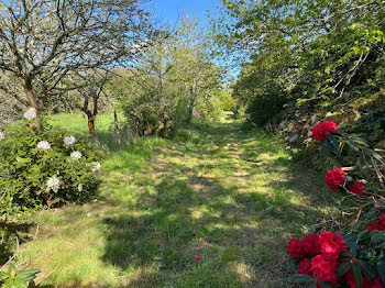 terrain à Colpo (56)