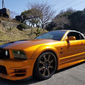 マスタング コンバーチブル V8 GT