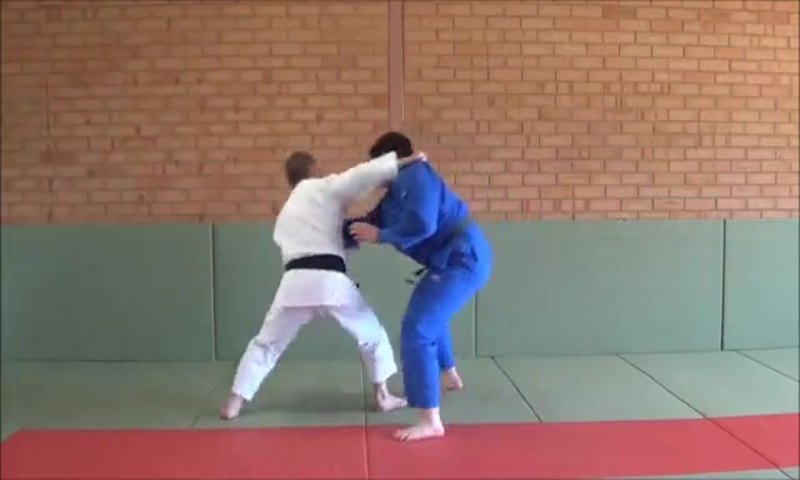   Judo techniques1 - screenshot 