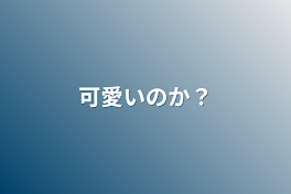 可愛いのか？