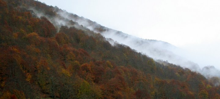 Tra i colori di pinco