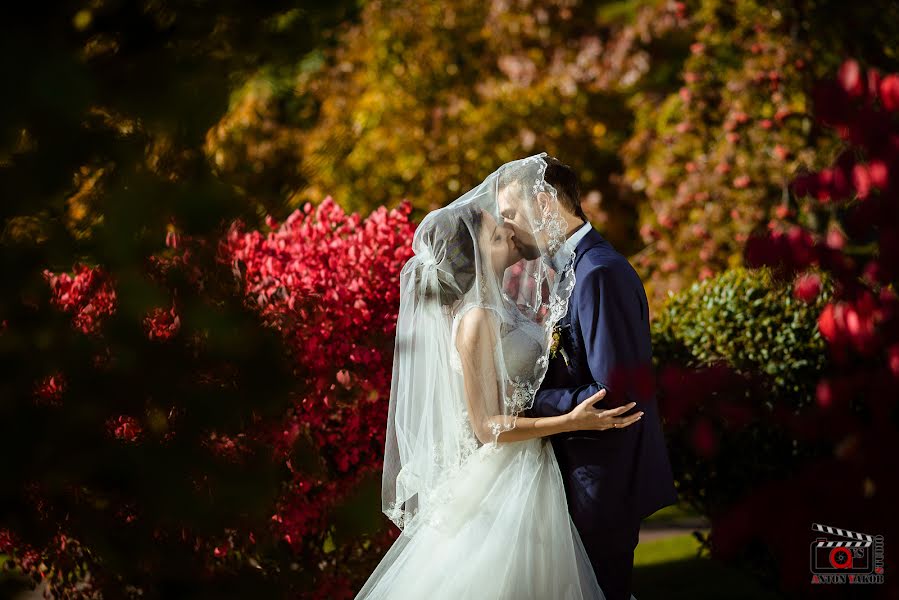 Fotógrafo de casamento Anton Yakobchuk (yakobchuk). Foto de 9 de abril 2019