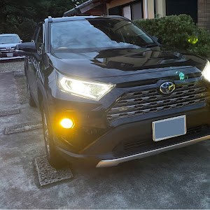 RAV4 AXAH54