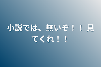 小説では、無いぞ！！    見てくれ！！