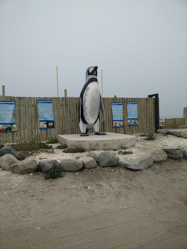 Estatua Del Pingüino