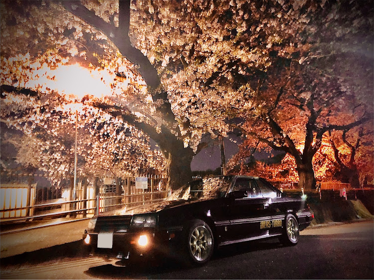 スカイラインの桜と愛車・夜桜・コロナウイルスに負けるな・旧車・愛のスカイラインに関するカスタム事例の投稿画像2枚目
