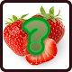 Download Guess Fruits For PC Windows and Mac