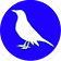 Bird Identifier icon