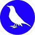 Bird Identifier1.0.1