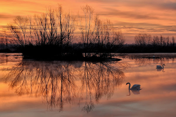 Alba rossa di AlfredoNegroni