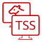 Item logo image for TSS TeamViewer launcher