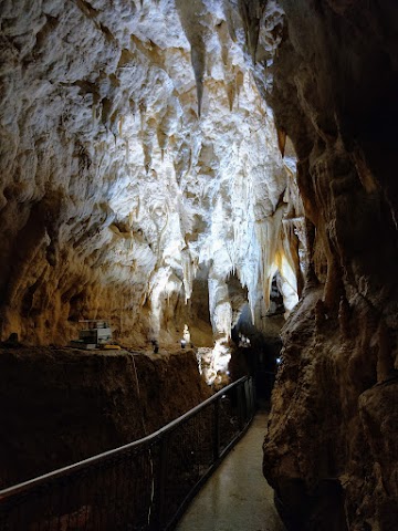 Ruakuri Cave