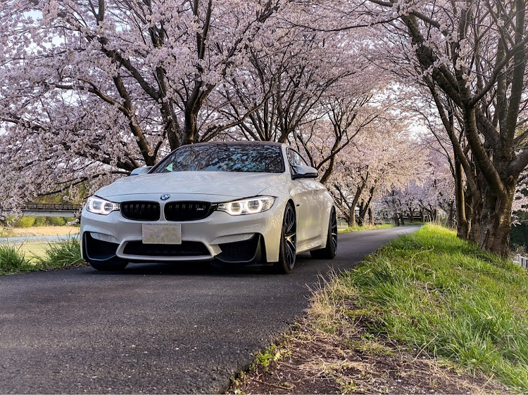 M4 クーペのM4・BMW・桜とコラボ・桜と愛車・桜に関するカスタム事例の投稿画像3枚目