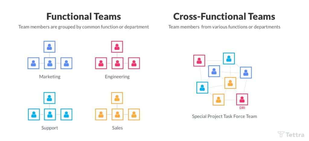 functional and cross functional teams in startup