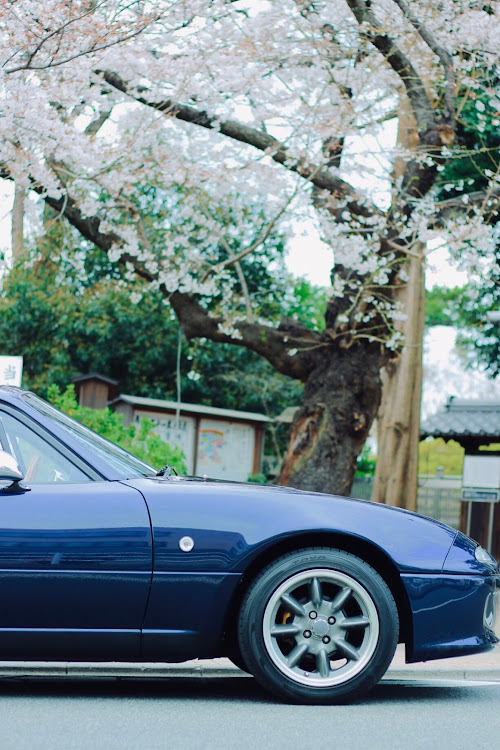 ロードスターのお花見・ドライブ・入学に関するカスタム事例の投稿画像1枚目