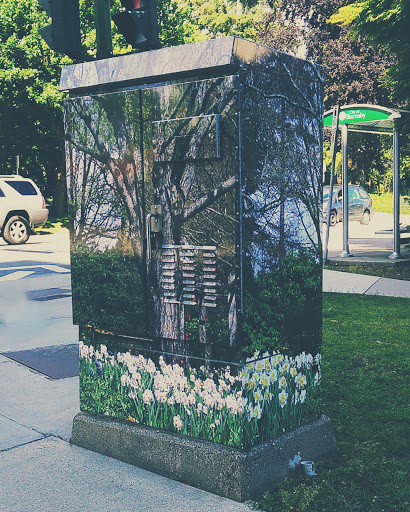 Nature Flower Box