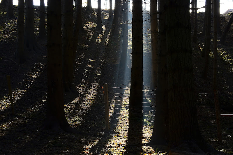 La luce... è la via di Luca Mandelli