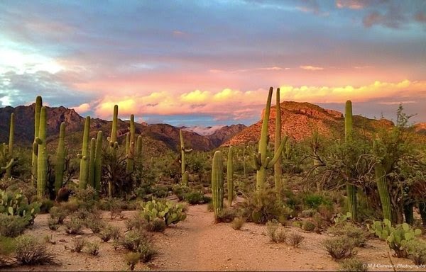 northwest Tucson sunset image