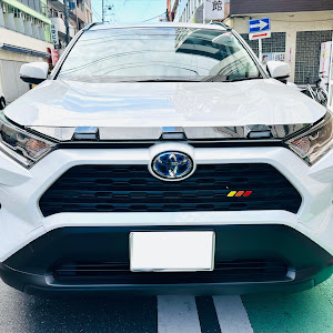 RAV4 AXAH52