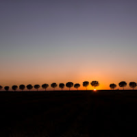 Sunset Over thr trees di 