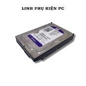 Ổ Cứng Hdd 500Gb Western Tím | Bảo Hành 24 Tháng