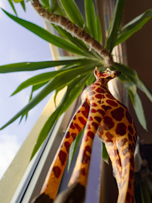 Wild Giraffe di JohnnyLambrusco