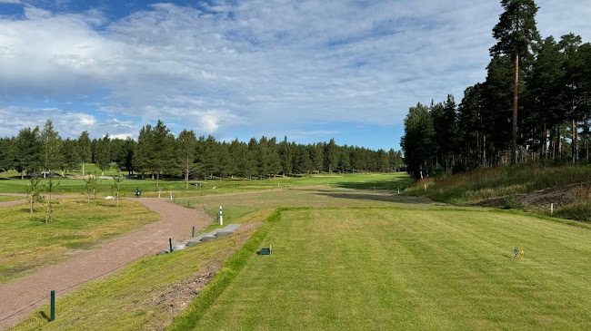 Kankas 8 keltainen lyöntipaikka 13.8.