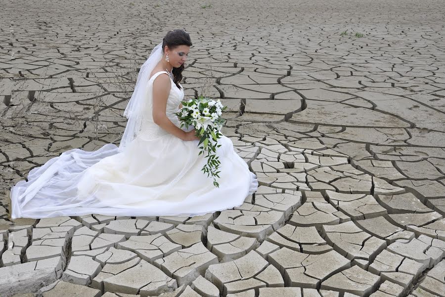 Fotógrafo de bodas Vasiliu Leonard (vasiliuleonard). Foto del 18 de marzo 2015