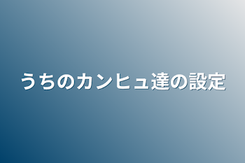 うちのカンヒュ達の設定