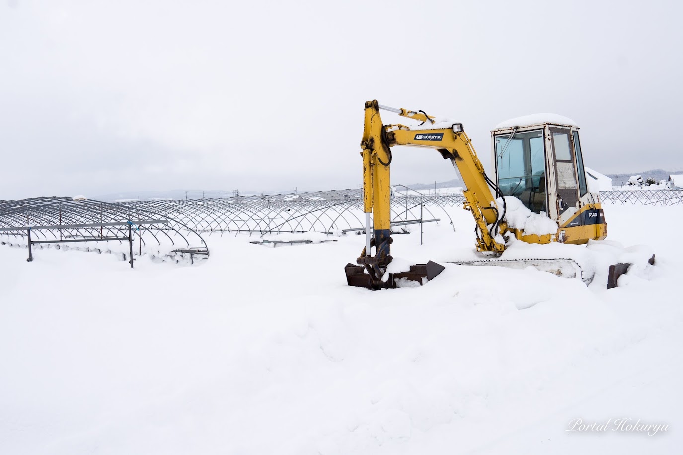 除雪を待つハウスたち