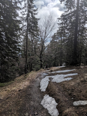 Trail with patches of snow