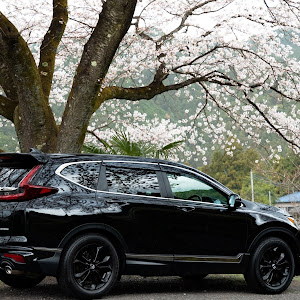 CR-V RW1