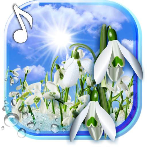 Snowdrops Springs Early Live Wallpaper Aplicații Pe Google Play