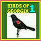 Birds of Georgia - 1 Download on Windows