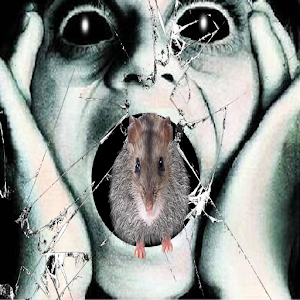 Rat prank  Icon