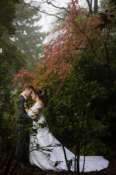 Photographe de mariage Neil Maurice (neil). Photo du 8 mai 2019