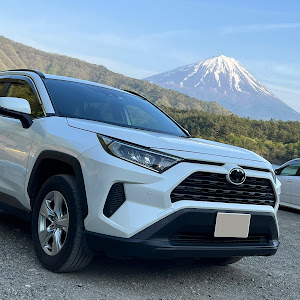 RAV4 MXAA52