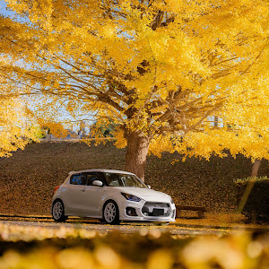 スイフトスポーツ ZC33S