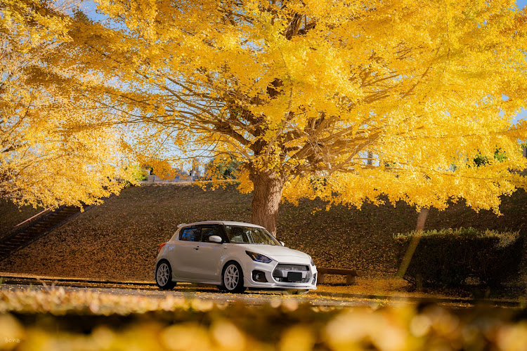 スイフトスポーツのほ˝ ƕན˝ さんが投稿したカスタム事例の投稿画像1枚目