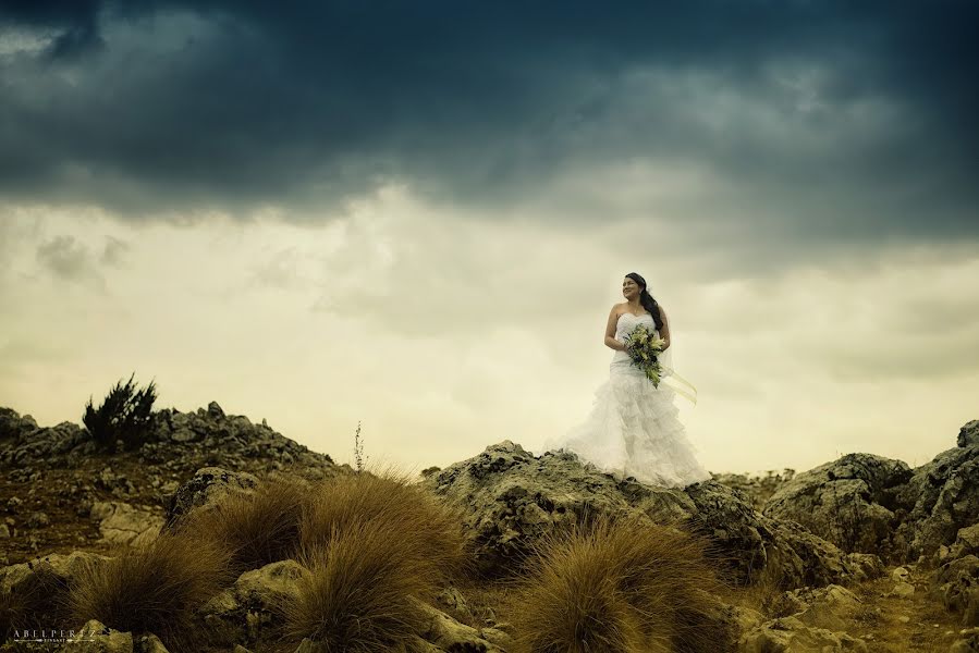 Fotógrafo de casamento Abel Perez (abel7). Foto de 14 de abril 2017