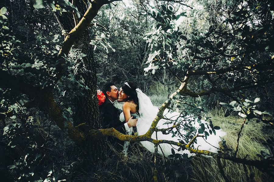 Fotógrafo de casamento Pavel Turchin (pavelfoto). Foto de 24 de março 2019