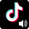 Item logo image for TikTok Volume