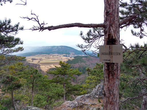 Linsbauerfelsen