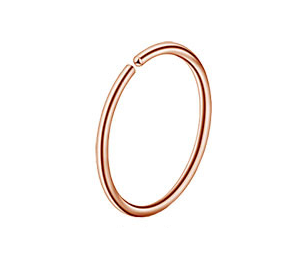 Trendy titanium stalen neus- en wenkbrauwpiercings voor heren en dames. Stijlvolle neusclips voor een moderne en gedurfde uitstraling.