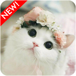 Cover Image of Download Cute Cat Wallpaper 10.0 APK